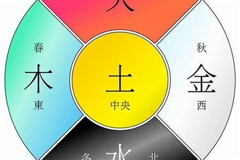 乙巳年 五行|乙巳年五行属性解析：火与木的交融